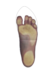 foot sketch last